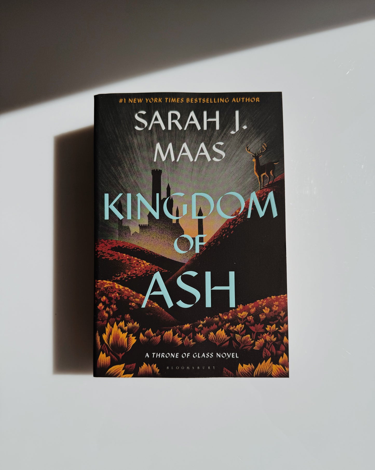 Kingdom of Ash