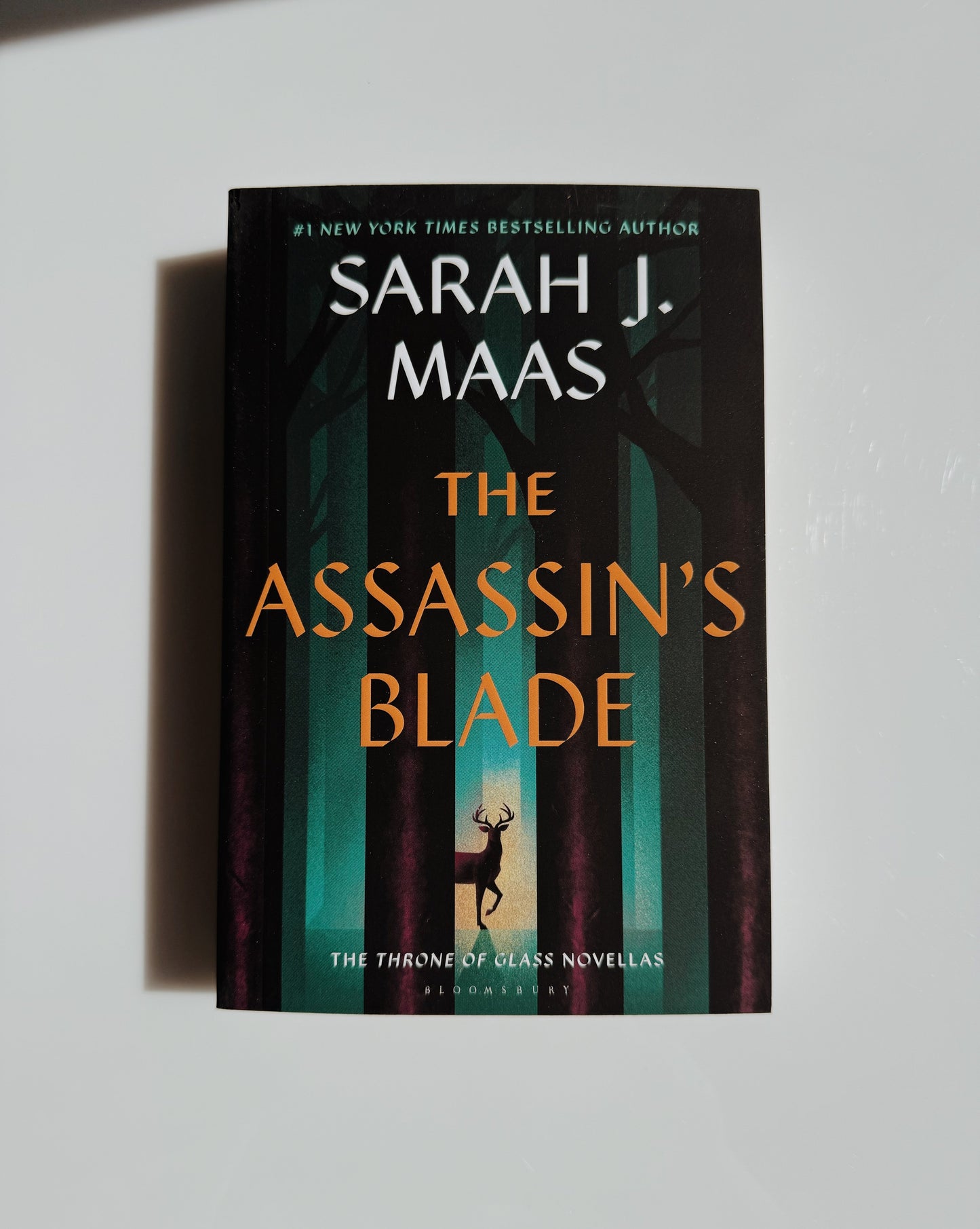 The Assassin’s Blade