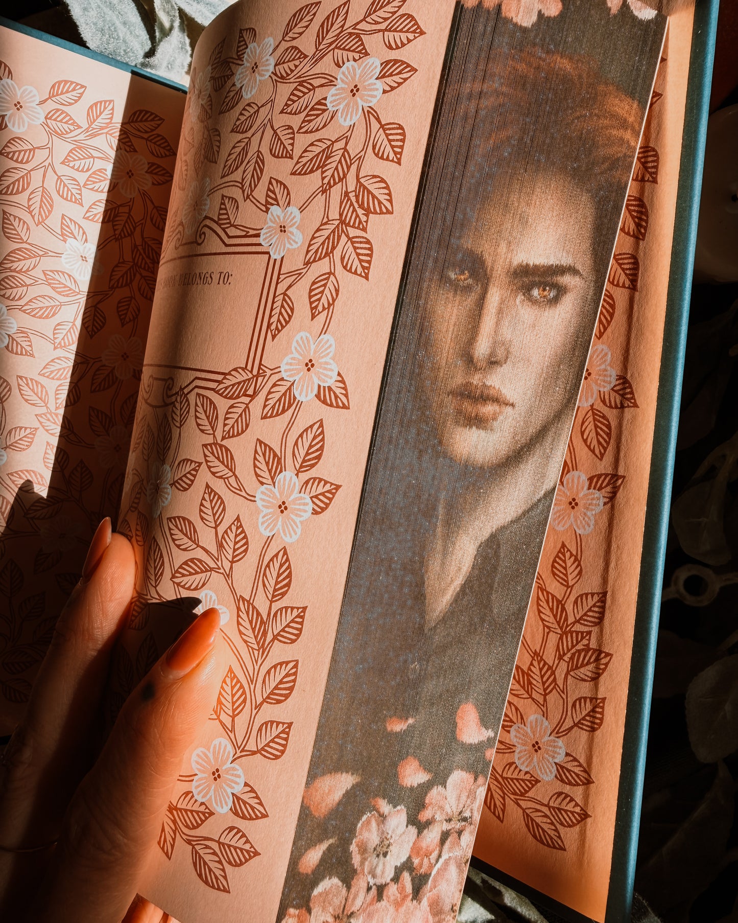 Twilight Deluxe Limited Collectors Edition