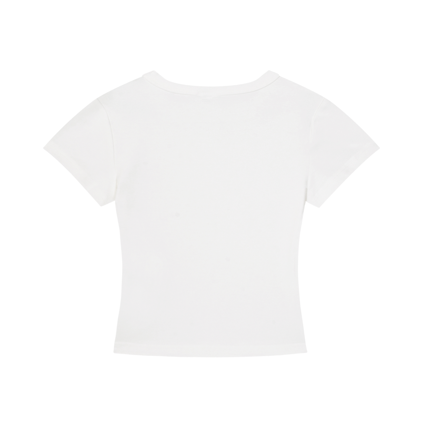 Well Read Woman Cropped T-Shirt